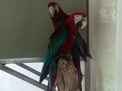 -青藏高原野生动物园