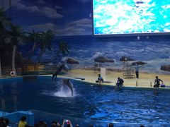 -福州罗源湾海洋世界旅游区