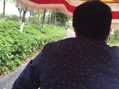 -小洲村