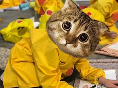 -杨梅红艺术教育(万象城教学中心)