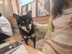 -柴の食堂·日式家庭料理·熊之肆(大学路店)