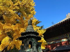 -红螺寺