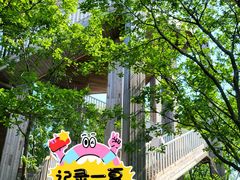 -帽儿山国家森林公园