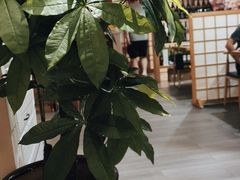 -长崎屋·日本料理·刺身·烧鸟(天河北路店)
