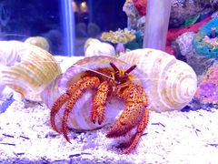 -太平洋海底世界