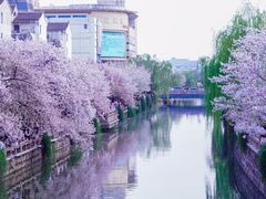 -常熟方塔园