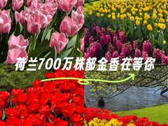 -库肯霍夫公园