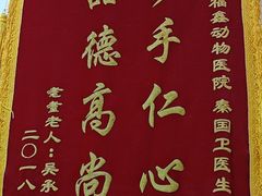 -宠福鑫动物医院(城北分院)