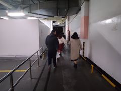 -大润发(康桥店)