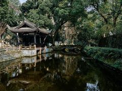 -桂湖森林公园