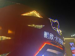-鹏欣水游城
