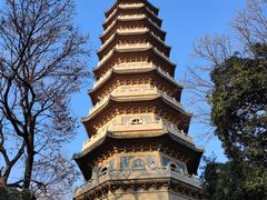 -灵谷景区