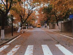 -八大关景区