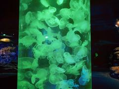 -北海·海洋之窗