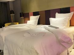 -南京禄口机场雅高铂尔曼大酒店