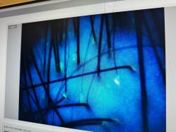 -史云逊养发护发