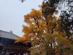 -红螺寺