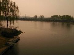 -大兴滨河森林公园