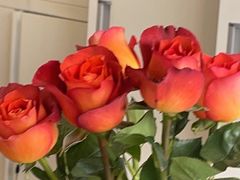 -朝来春花卉市场