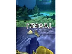 -北戴河圣蓝海洋公园