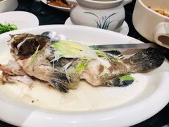清蒸老虎斑-徐记海鲜(陕西历史博物馆|明德门店)