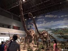 -自贡恐龙博物馆