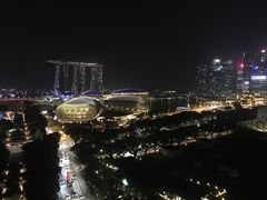 -新加坡瑞士史丹福酒店