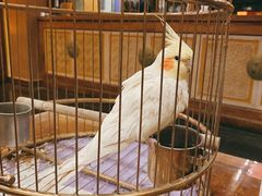 -那家小馆•北京菜•烤鸭(香山店)