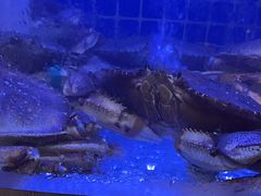 -七欣天香辣蟹火锅(淮安璟和名城店)