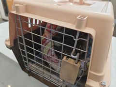 -贝康宠物医院·犬猫全科·小动物特色诊疗中心(东环路店)