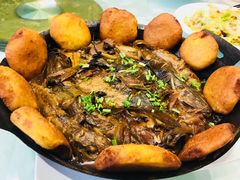 -陶然饺子城(奥体中路店)