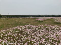 -阳澄湖半岛旅游度假区
