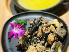 高湯土雞鍋底-一朵菌·野生菌探索家火锅(南亚店)