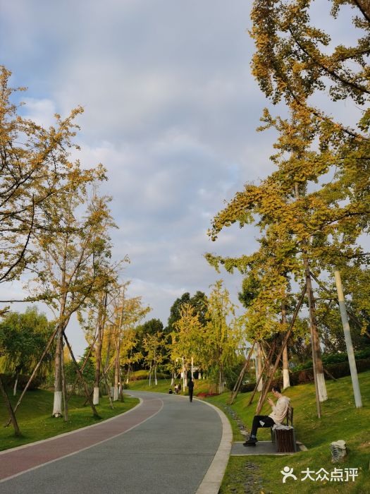 圣灯公园图片