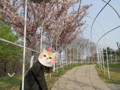 -秀丽东方