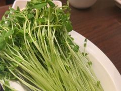 -南门涮肉(后海店)