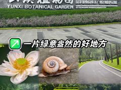 -云溪植物园