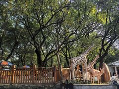 -晓港公园