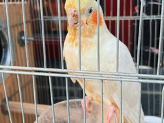 -伊隆斋(什刹海店)