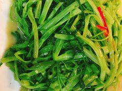 -鸽王世家(东华东路店)