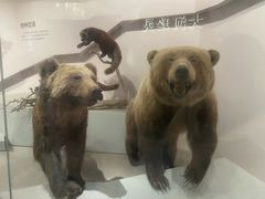 -武汉园博园(武汉自然博物馆)