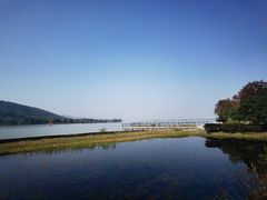-长广溪湿地公园