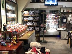 -猫咪博物馆(顶澳仔猫街店)