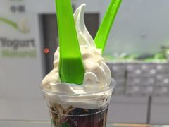 -Salud撒露欧洲冻酸奶(蓝色港湾店)