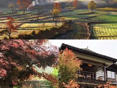 -塔川景区