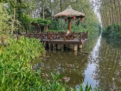 -合肥滨湖国家森林公园