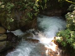 -西岭雪山大飞水景区