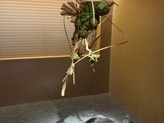 -宴武夷·匠心闽味(印象大红袍店)
