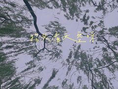 -朝阳公园