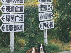 -观澜小洱海